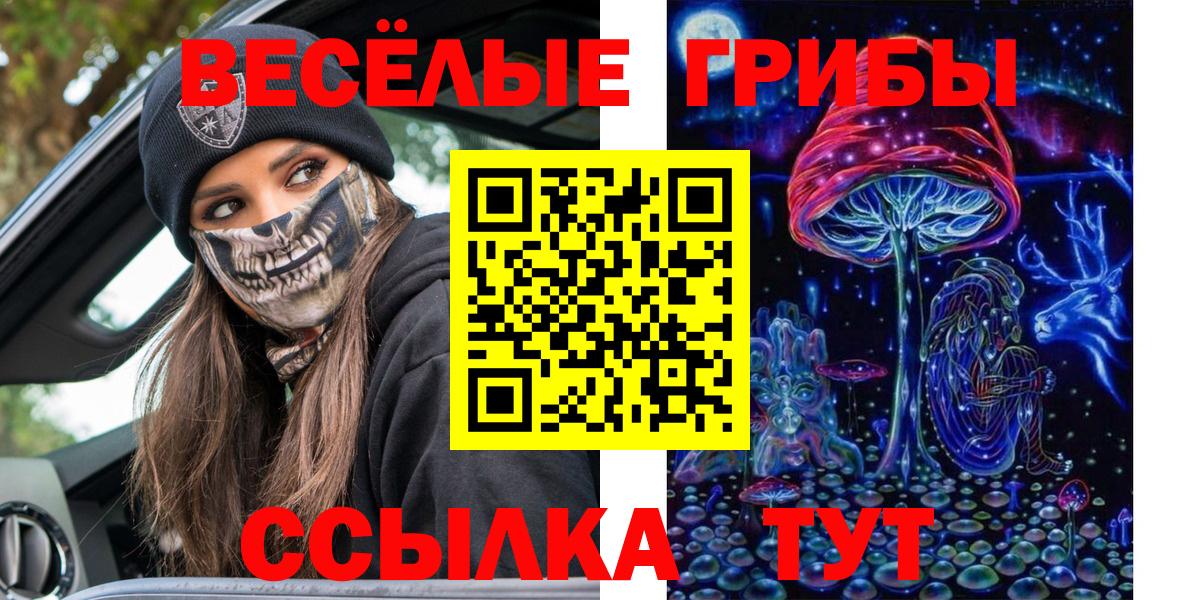 Коммунар  Галлюциногенные грибы Psilocybe  даркнет сайт  Вход с VPN 