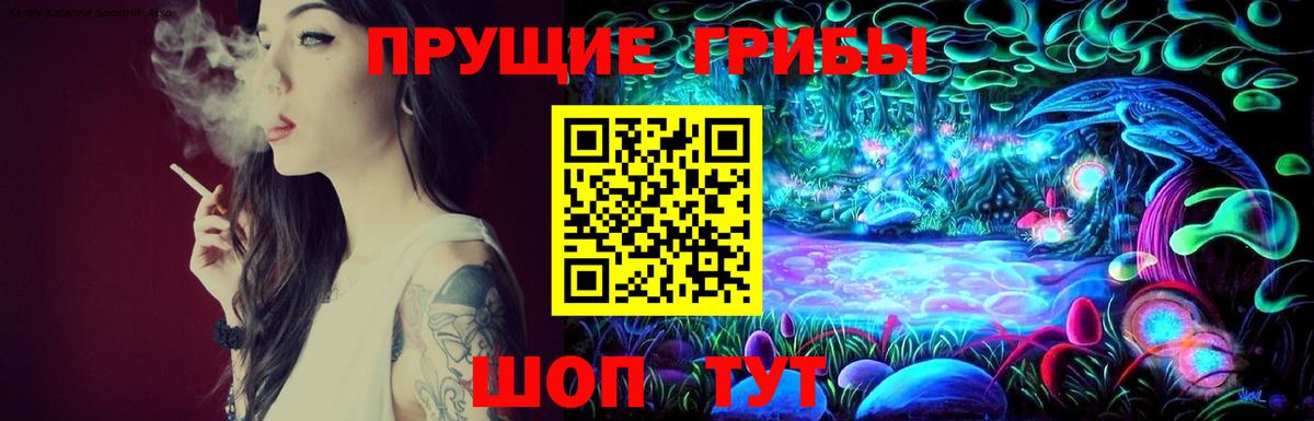 Псилоцибиновые грибы GOLDEN TEACHER Коммунар